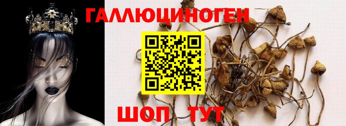 Сокол  Галлюциногенные грибы мицелий  Вход с VPN 