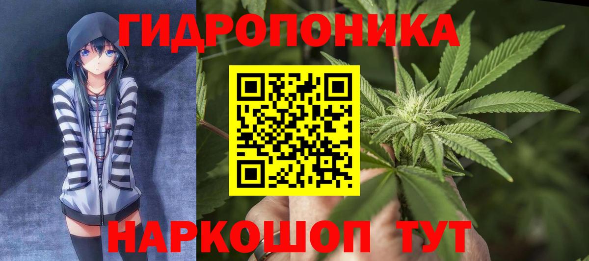 Бошки марихуана SATIVA & INDICA Сокол