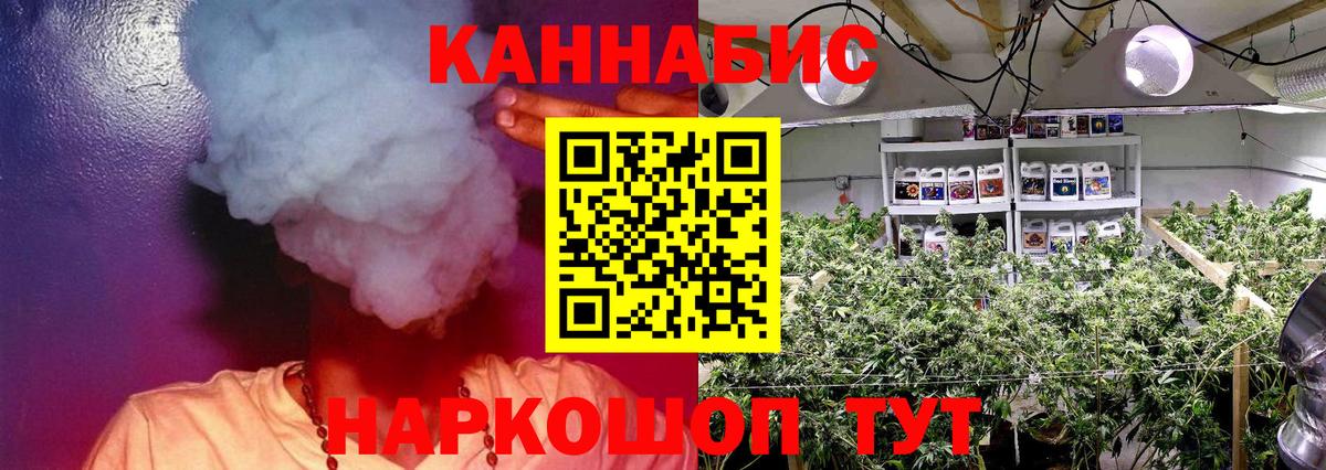 МАРИХУАНА Amnesia  Бошки Шишки планчик  Вход с VPN  Сокол  Бошки Шишки гибрид 